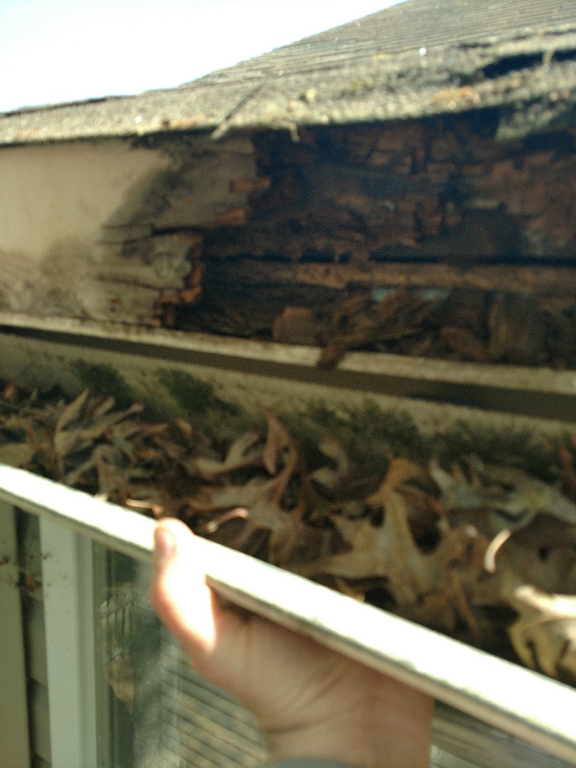 Suffolk, VA - This is what happens when you have clogged gutters! We're replacing rotten fascia and soffit, then installing our seamless LeafGuard gutters. Don't delay when you have this type of damage! Suffolk, VA - This is what happens when you have clogged gutters! We're replacing rotten fascia and soffit, then installing our seamless LeafGuard gutters. Don't delay when you have this type of damage!