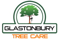 Glastonbury Tree Care