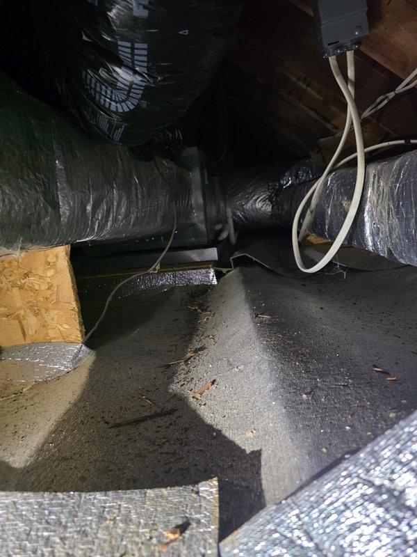 Completed comfort call consultation for heat pump replacement evaluation. Inspected existing HVAC system located in attic space, documenting current ductwork configuration with insulated flexible ducts, electrical connections, and PVC condensate drainage lines. Photographed attic installation conditions to assess replacement requirements and provide accurate system sizing recommendations.