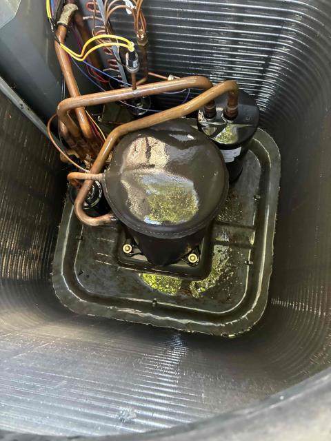 Performed a comprehensive cooling system tune-up, including cleaning debris and organic buildup from the outdoor unit, inspecting electrical and mechanical components, checking refrigerant system operation, and verifying overall performance. Restoring proper airflow around the equipment helps improve efficiency, reliability, and system longevity.