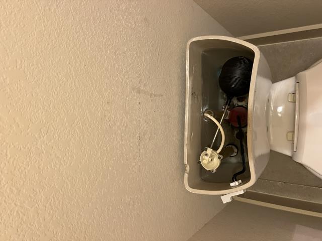 Toilet tank interior with float mechanism and fill valve, illustrating plumbing repair work relevant to American Eagle Plumbing services in Lakeway, TX.