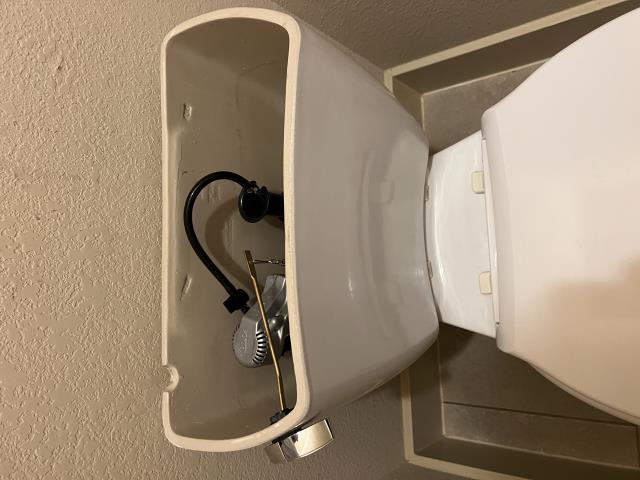 Toilet tank interior showing plumbing components including a flapper, chain, and water supply line, relevant to recent toilet rebuild service by American Eagle Plumbing in Lakeway, TX.