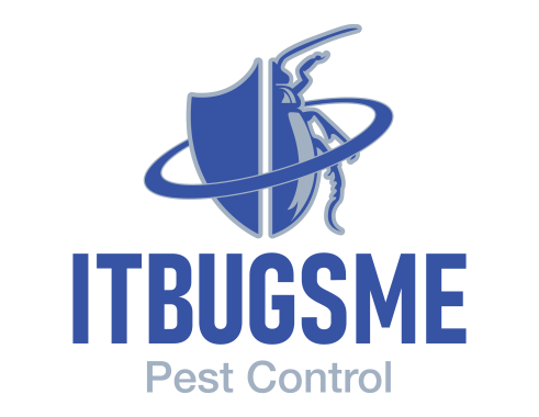 It Bugs Me