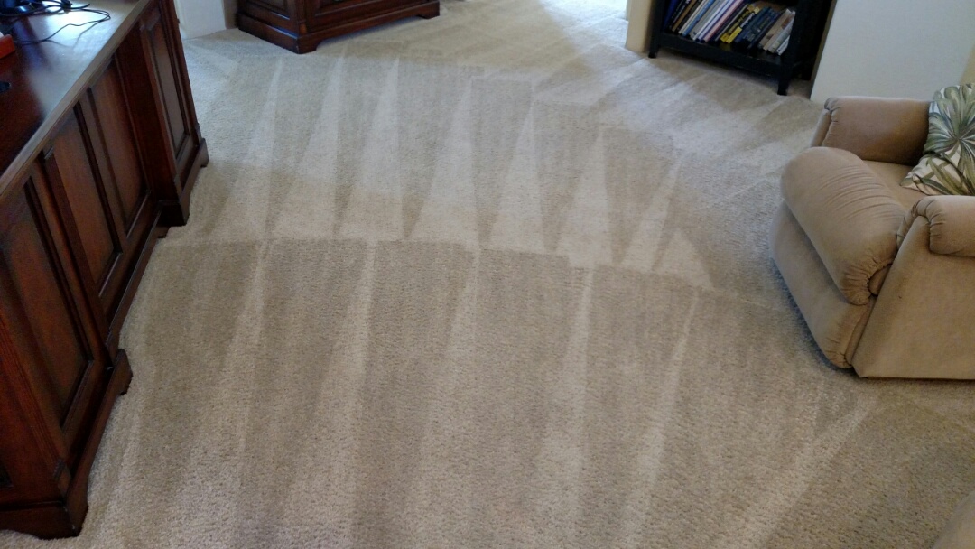 Clean carpet and extracted pet urine for a regular PANDA family in Gold Canyon AZ 85118.