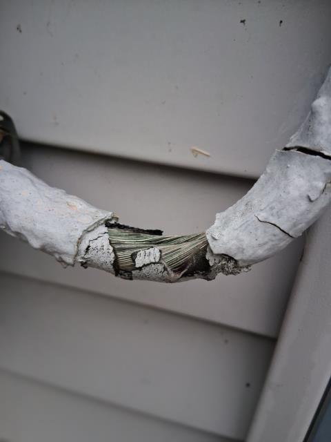 I inspected the SER and found an exposed neutral near the meter. The wire to the panel seemed fine. The customer reported no power issues. I suggested running PVC conduit due to the basement and windows.