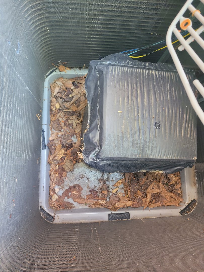 Marietta, GA - Performed AC Maintenance on 2 Carrier Infinity Condensing Units and 1 Carrier Heat Pump  and removed all debris from bottom of condensing Units.  Marietta 