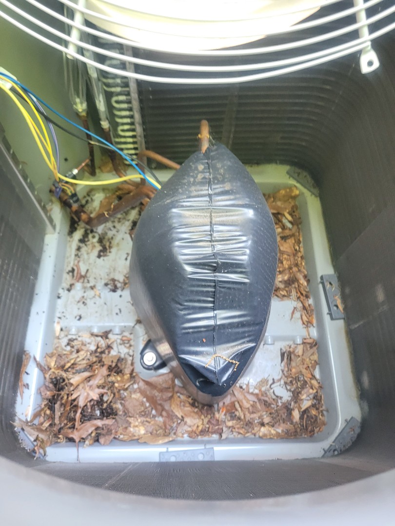 Kennesaw, GA - Performed AC Maintenance on a Carrier Condensing Unit and removed all debris from bottom of condensing unit, also with zoning. 