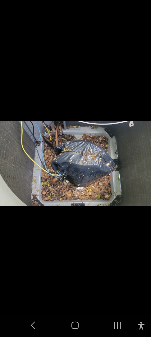 Marietta, GA - Performed AC Maintenance on a Carrier Condensing Unit and removed all debris from bottom of condensing unit.  Marietta 