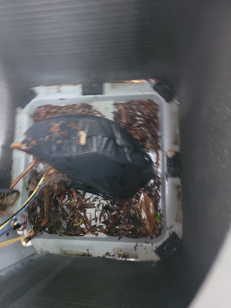 Marietta, GA - Performed AC Maintenance on Carrier Heat Pump and removed all debris from bottom of condensing unit.  Marietta 