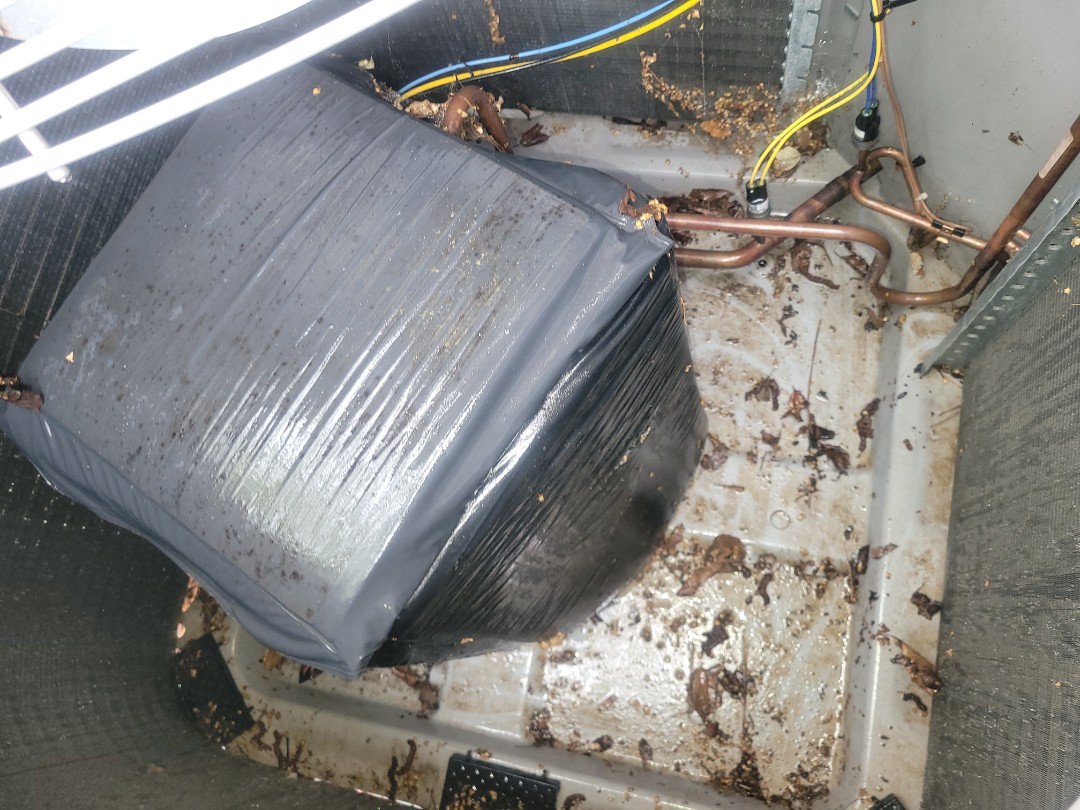 Kennesaw, GA - Performed AC Maintenance on 3 Carrier Condensing Units and removed all debris from bottom of condensing Units.  Kennesaw 