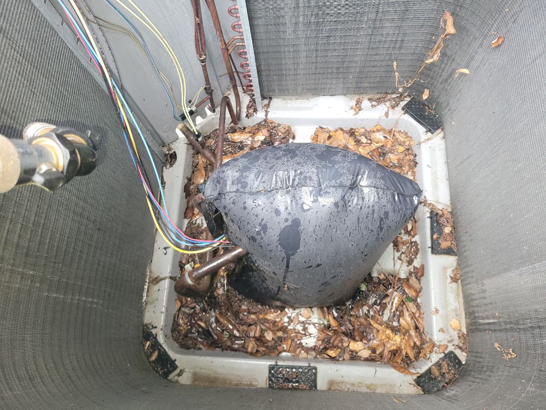 Marietta, GA - Performed AC Maintenance on 2 Carrier Condensing Units and removed all debris from bottom of condensing Units. Marietta 