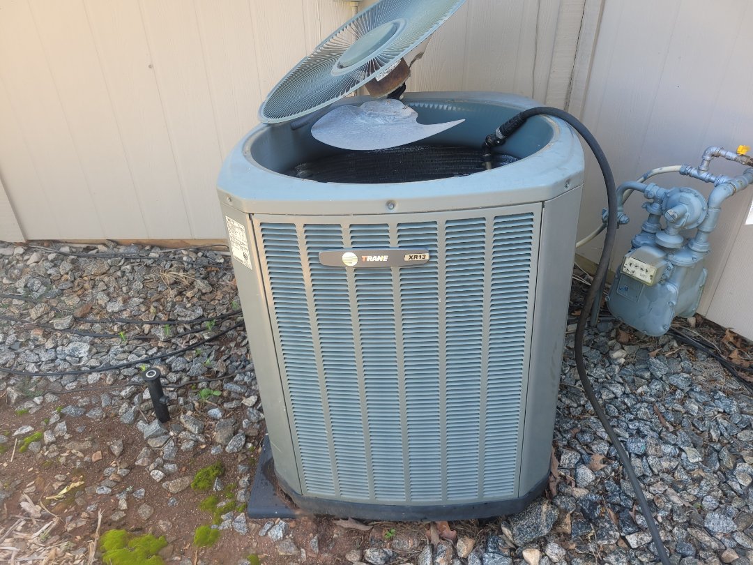 Marietta, GA - Performed AC Maintenance on 2 Trane Condensing Units and removed all debris from bottom of condensing Units.  Marietta 