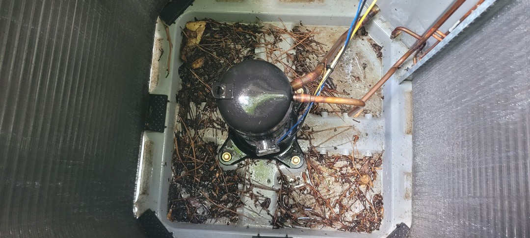 Marietta, GA - Performed AC Maintenance on 2 Carrier Condensing Units and removed all debris from bottom of condensing Units.  Marietta