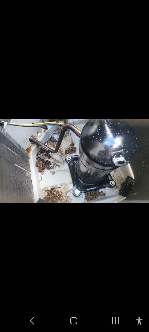 Kennesaw, GA - Performed AC Maintenance on a Carrier and a Payne Condensing Units and removed all debris from bottom of condensing Units.  Kennesaw 