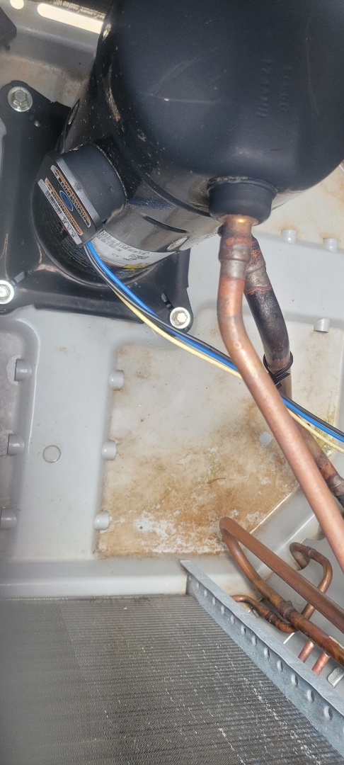 Dallas, GA - Performed AC Maintenance on a Carrier and a Rheem Condensing Units and removed all debris from bottom of units. Dallas