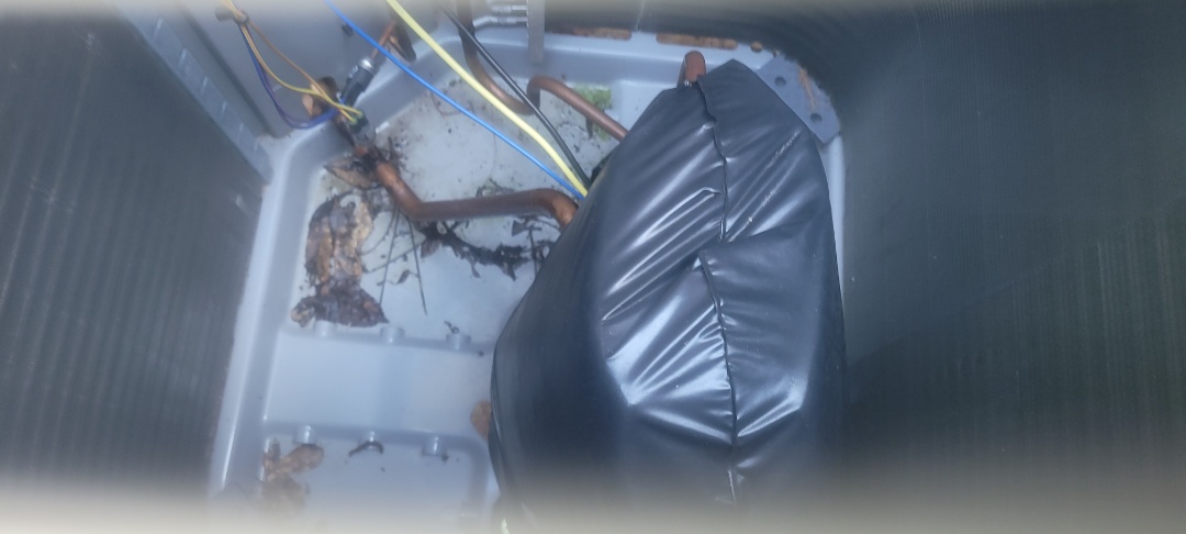 Marietta, GA - Performed AC Maintenance on 4 Carrier Condensing Units and removed all debris from bottom of condensing Units.  Marietta 