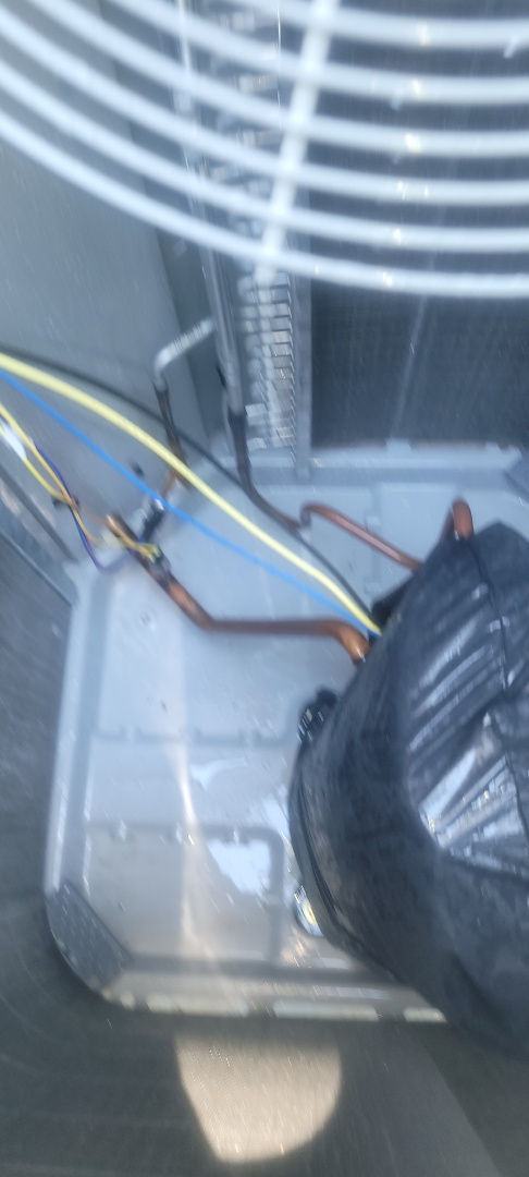 Marietta, GA - Performed AC Maintenance on 4 Carrier Condensing Units and removed all debris from bottom of condensing Units.  Marietta 