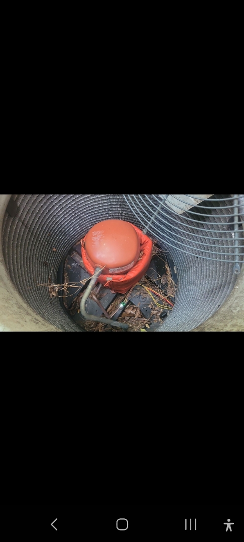 Marietta, GA - Performed AC Maintenance on a Trane Condensing Unit and removed all debris from bottom of condensing unit.  Marietta 