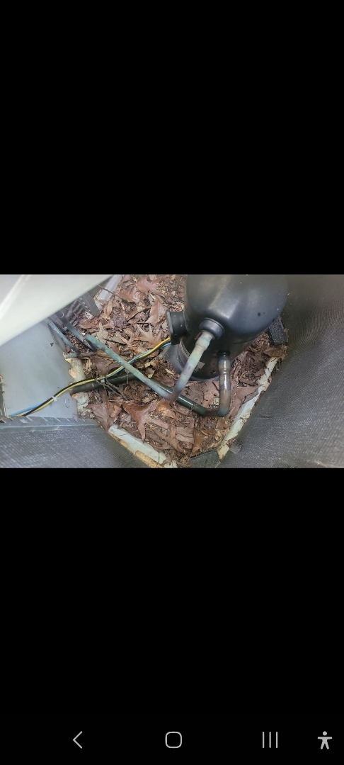 Marietta, GA - Performed AC Maintenance on a Carrier and a Payne Condensing Units and removed all debris from bottom of condensing Units.  Marietta 