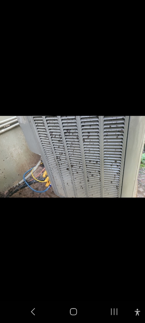 Marietta, GA - Performed AC Maintenance on Lennox Condensing Unit and removed all debris from bottom of condensing unit.  Marietta