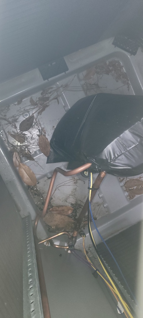 Smyrna, GA - Performed AC Maintenances on Carrier Condensing Units and removed all debris from bottom of condensing Units.  Smyrna 