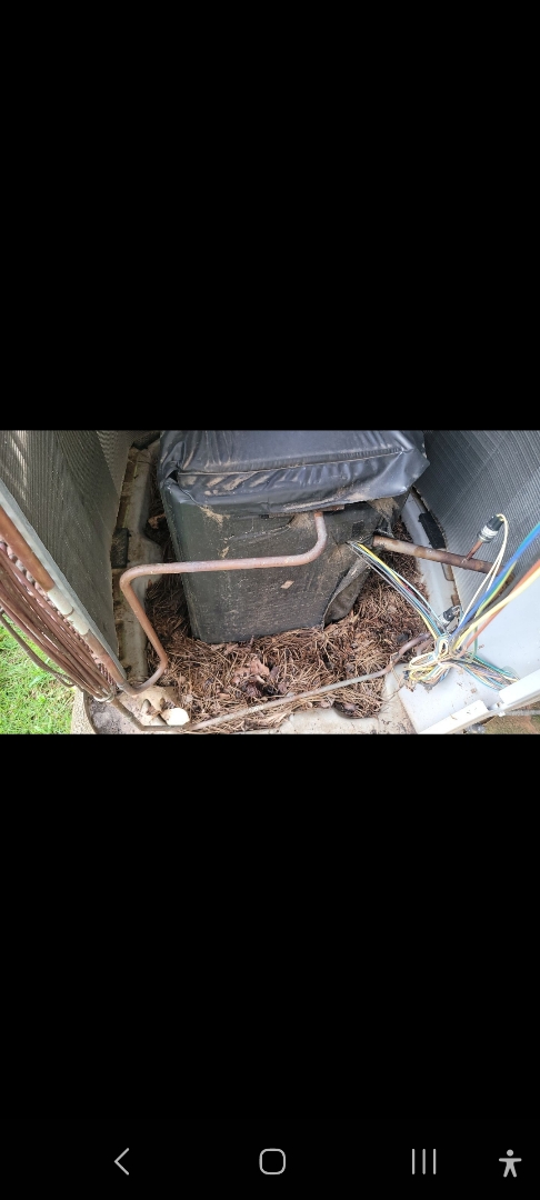 Marietta, GA - Performed AC Maintenance on 2 Carrier Infinity Condensing Units and removed all debris from bottom of units. Marietta 