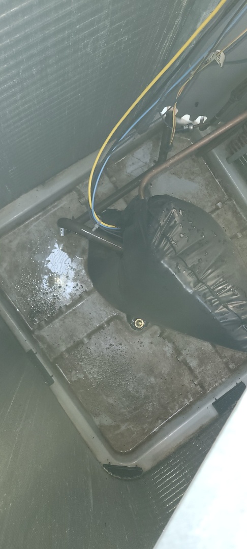 Marietta, GA - Performed AC Maintenance on a Carrier Condensing Unit and removed all debris from bottom of condensing unit.  Marietta 