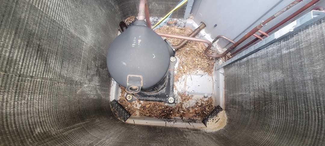 Marietta, GA - Performed AC Maintenance on a Carrier and a Lennox Condensing Units and removed all debris from bottom of condensing Units.  Marietta 