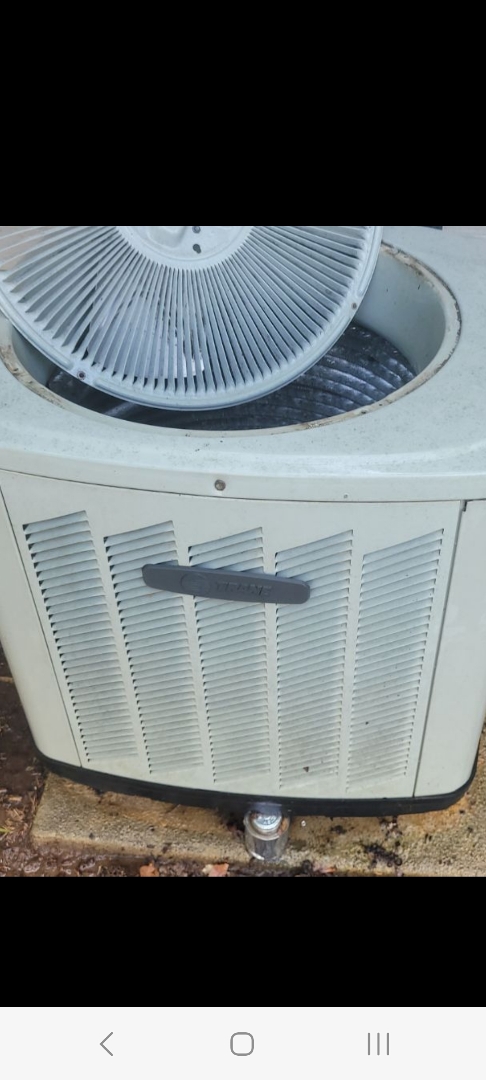 Marietta, GA - Performed AC Maintenance on a Trane Condensing Unit and removed all debris from bottom of condensing unit.  Marietta 