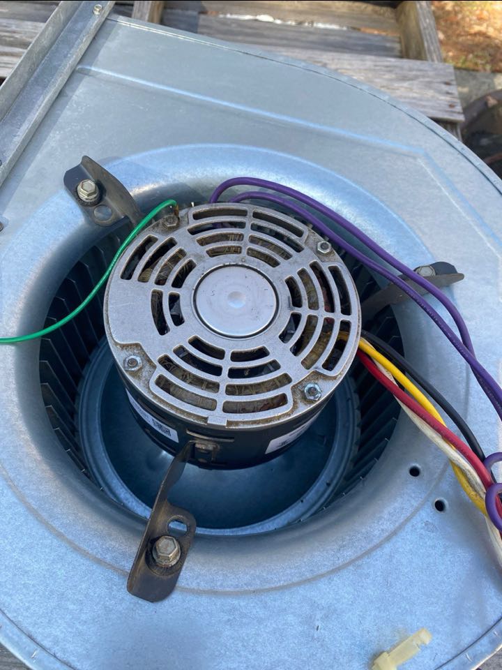 Cleaned blower assembly in Lennox gas furnace during heat maintenance.