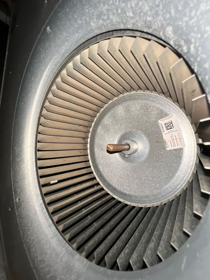 Inspecting blower wheel 