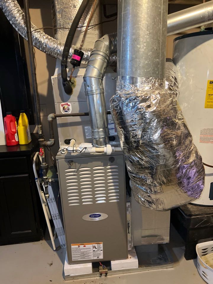 Inspecting carrier furnace