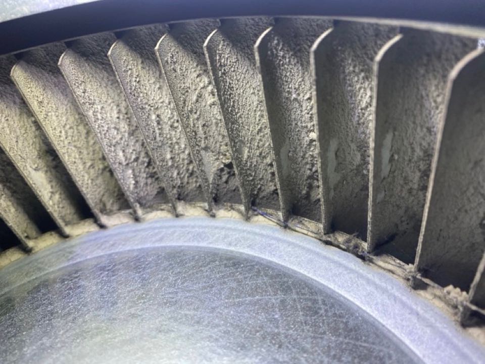 19 year old blower wheel being replaced with a new and clean Carrier furnace with matching cooling system.