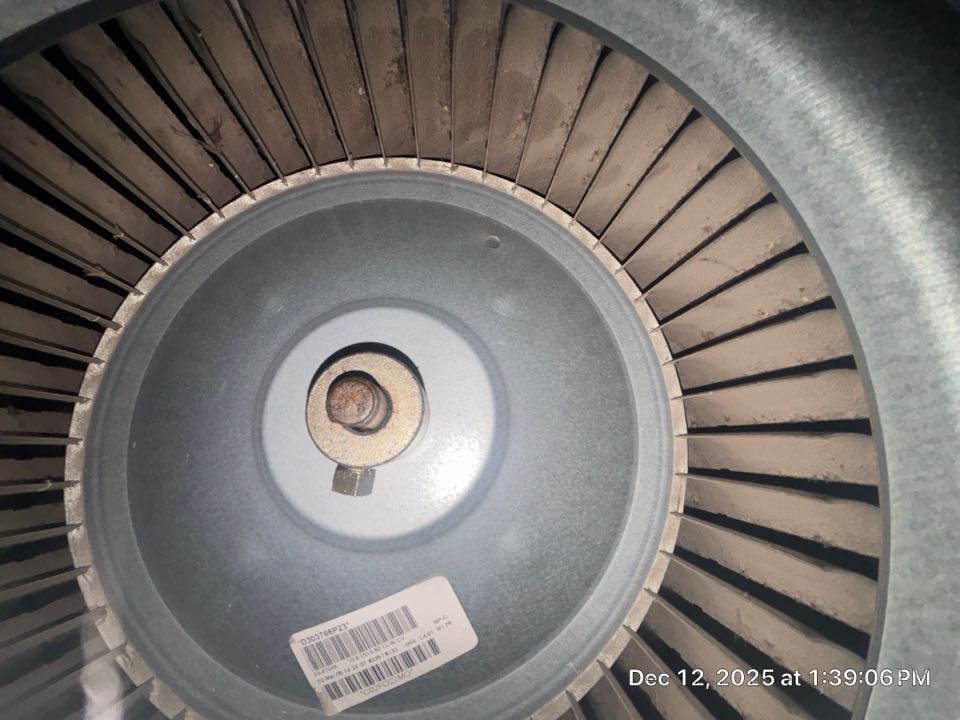 Heating maintenance found impacted blower wheel and evaporator coil 