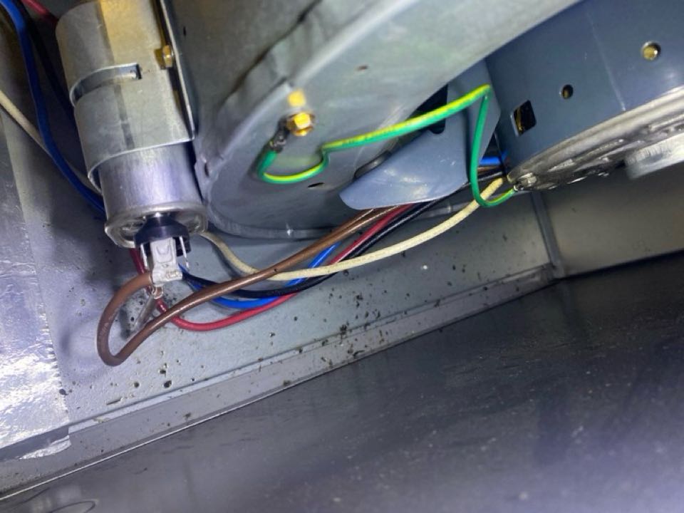 Blower motor bearings failed leaking bearing grease in the bottom of gas furnace.