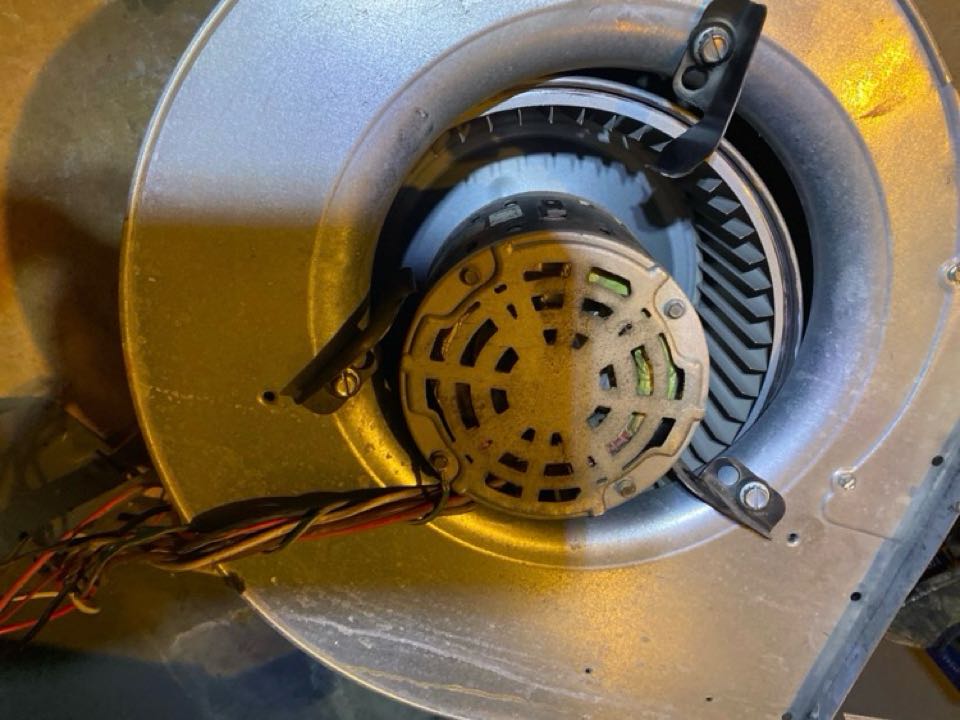 Failed blower motor. Broken motor mounts. Replaced motor, capacitor and  cleaned blower assembly. Heating restored.