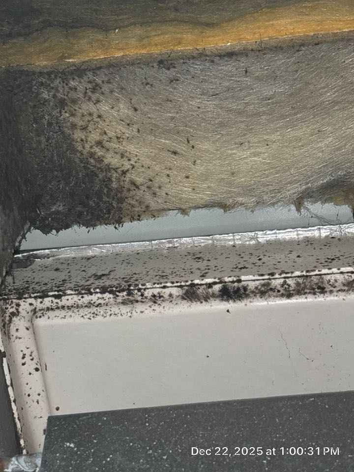 Smyrna, GA - Furnace heating maintenance found blower wheel impacted as well as some growth inside of the supply Plenum recommending blow oil cleaning and UV light