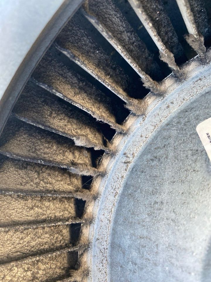 Blower wheel and housing cleaning in Amana furnace.