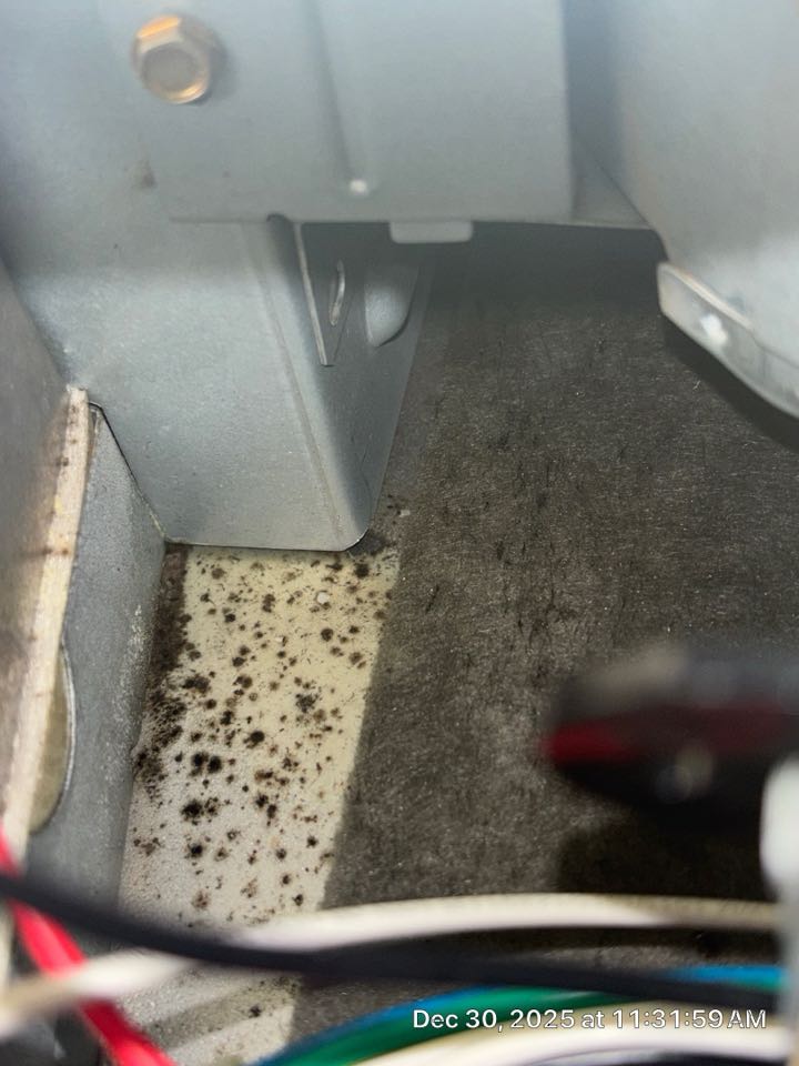 Smyrna, GA - Two system heating maintenance found impacted blower wheel on upstairs level system, as well as biological growth inside of the blower cabinet  quoted customer for cleaning and treatment.