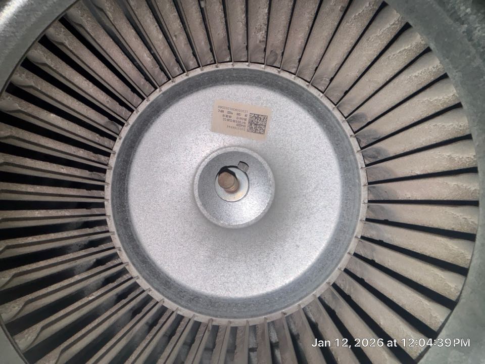 Smyrna, GA - Heating maintenance on gas furnace found impacted blower wheel and some biological growth on primary drain pan. 