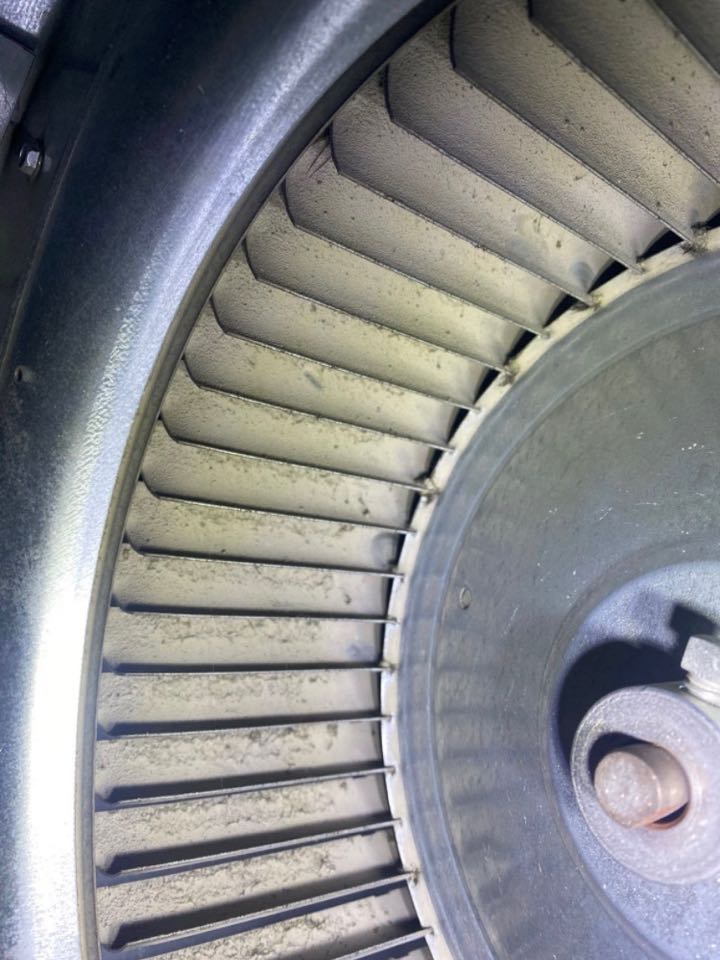 Very dirty blower wheel with failed blower motor bearings.