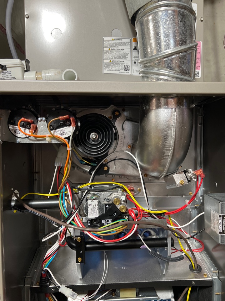 Inspecting carrier furnace