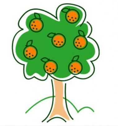 Orange Tree Pool Service, LLC