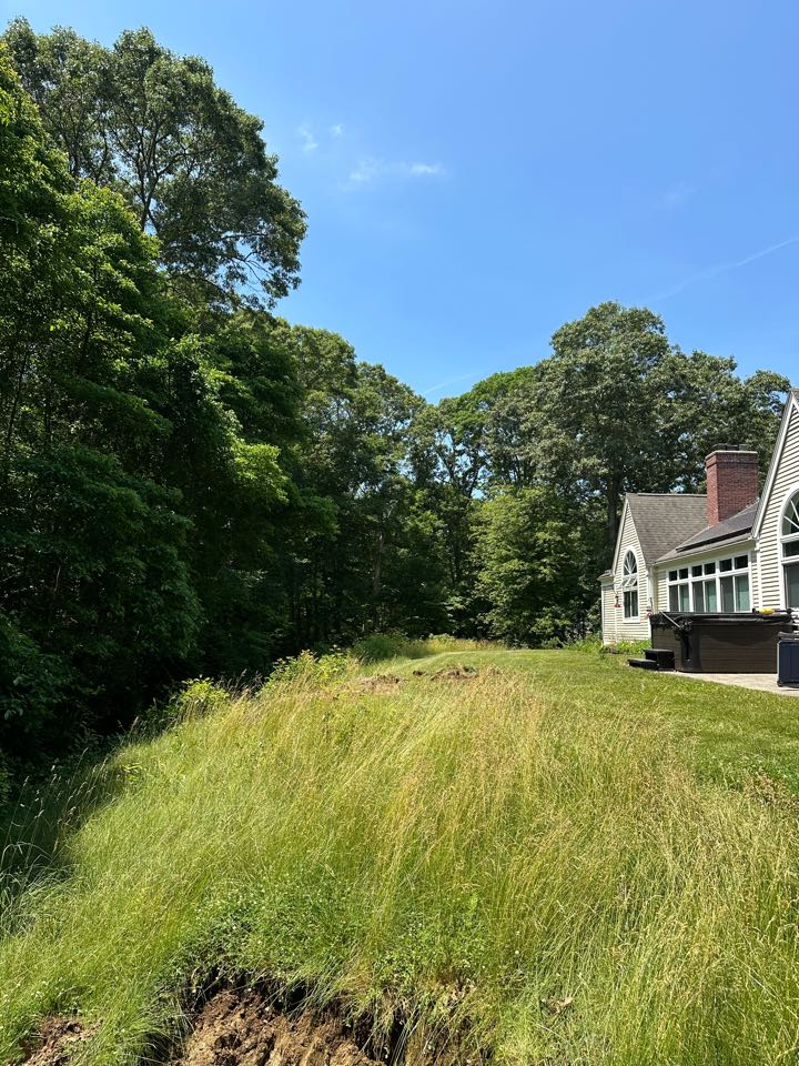 Changing grade so this backyard is mowable  now! Ready to get some topsoil !