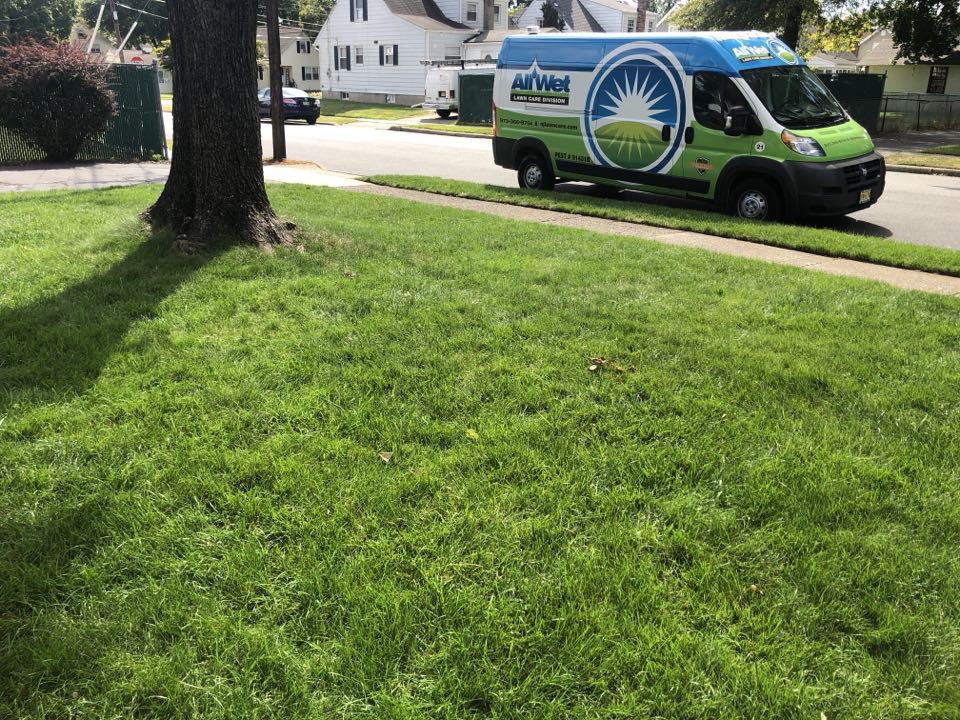 Landscape Lighting & Lawn Irrigation Pompton Lakes, NJ