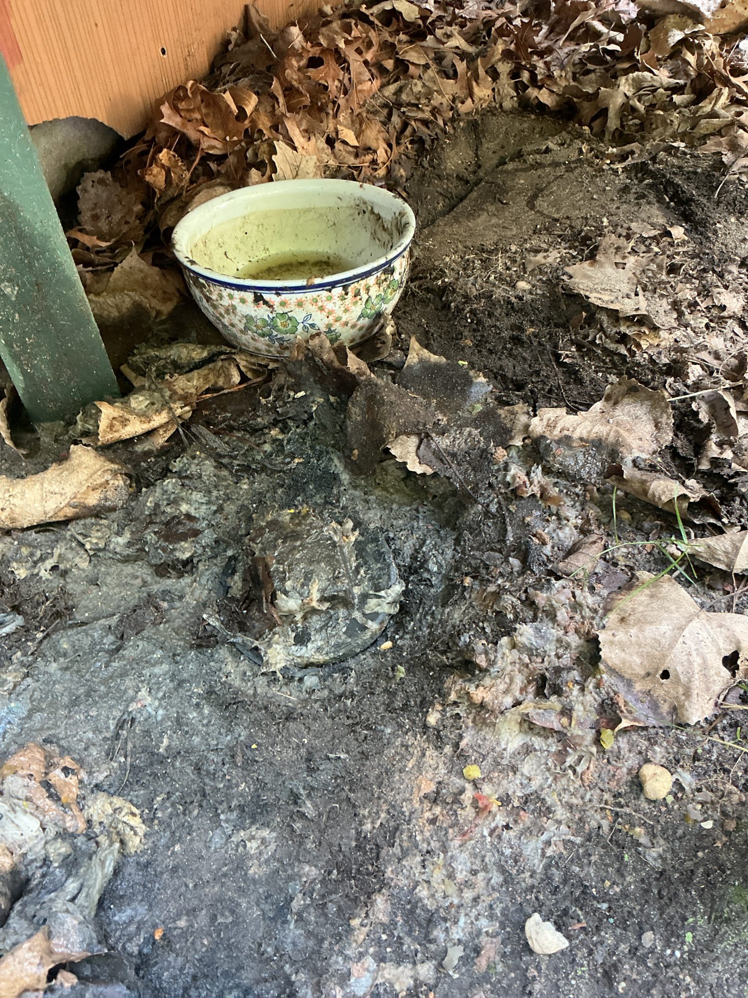 Clear drain line
Cleared clogged septic line