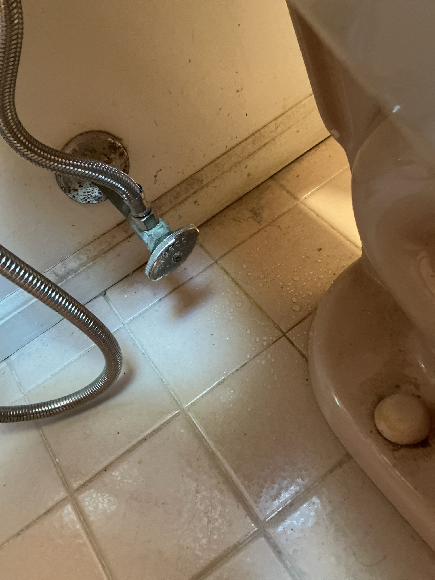 Arrived to the home, customer states the existing toilet leaks from the tank to bowl whenever flushed. I diagnosed this issues as failed spud gasket and has dry rotted. I provided options for repairing or replacing the toilet, customer would like to go over the options and will possibly call us back for the work to be completed.