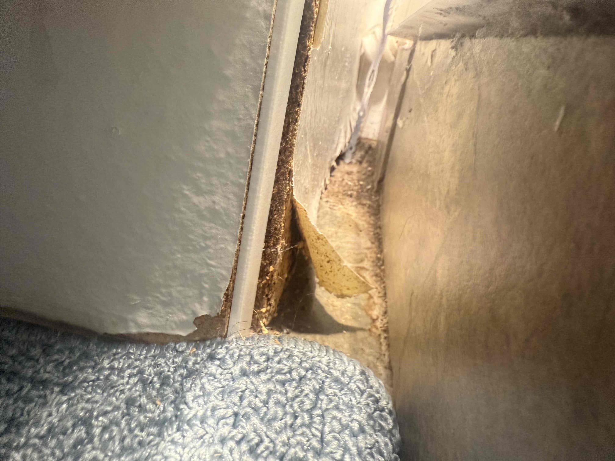 Pull and reset toilet
Arrived to home for leak in ceiling. Upon inspection found that leak was coming from bathroom above. First ran shower and sprayed walls. Leak appeared right away. Also noticed stains near toilet. Saw that it was wet under sub floor. Leaked as soon as flushed. MyGuy pulled toilet and saw that cast iron flange was broken and repaired in the past. Showed customer the solution to replace cast flange. Came up with another solution which was less expensive. MyGuy repaired flange the correct way. Set the toilet and tested for leaks, there are none at this time.
Referred allstates restoration