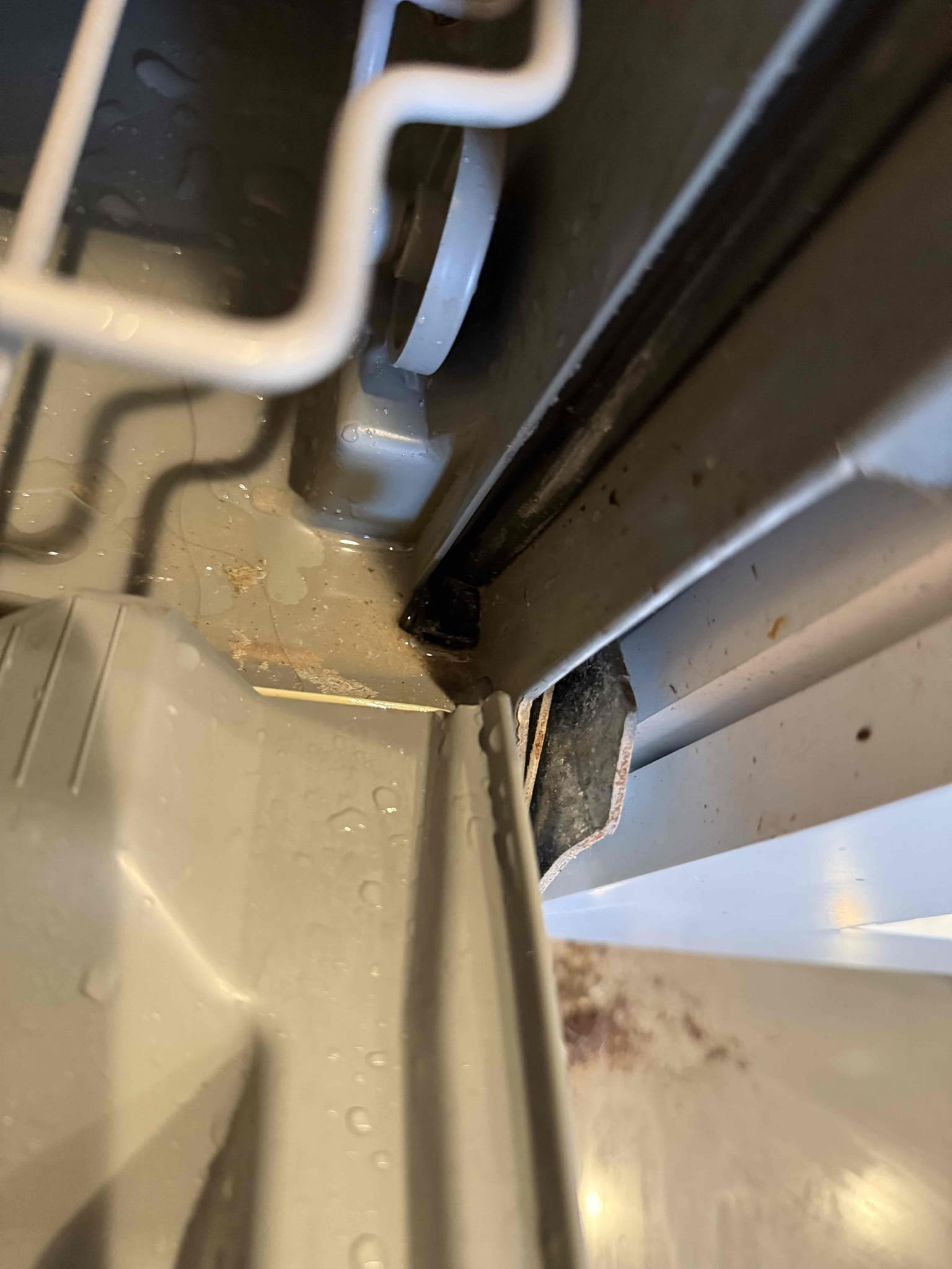 Arrived on site customer stated that they have a leak underneath the kitchen sink and the back deck is always wet and they hear water running when the toilet is flushed. Upon inspection of the kitchen sink found that there appears to be no leaks on the kitchen sink itself ran faucet, filled up sink, turned valves on and off, sprayed all cracks and crevices, checked all compression connections and found nothing. There was a spot underneath the sink but it was wet and stick like something had leaked like some sort of cleaner but customer stated that they don’t keep anything under there. Ran dishwasher and checked dishwasher connection found nothing leak on that. Did notice a water stain on the side of the cabinet where the dishwasher was located and also found a spot by the corner of the door that was moist and had a small wet spot underneath it. It appears that a leak may be coming from the dishwasher seal and over time the cabinet absorbed the water. Recommend having an appliance compa