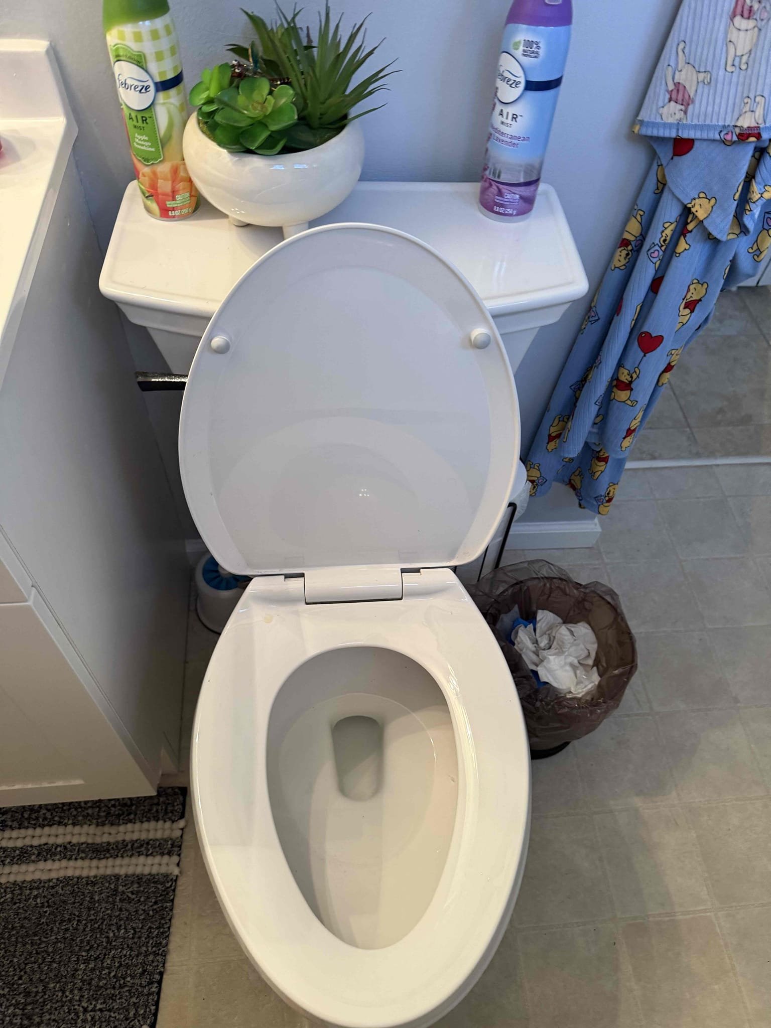 Arrived on site to complete customers annual home inspection, after inspection we wrote up options to get what we found rectified, for today customer would like all options emailed over to them.